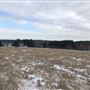 The Flying H Ranch