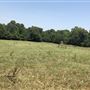 The Flying H Ranch