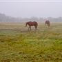 Dockery Ranch