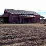 Pioneer Farms