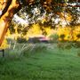 Two Wishes Ranch