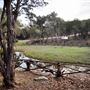 Montesino Ranch