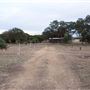 Texas Hill Country Olive Company