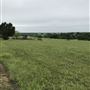 Obregon Ranch