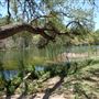 Old Ponderosa Ranch