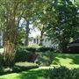 House at 405 East Neches Street