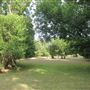 Waldhauser Property