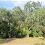 Waldhauser Property