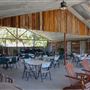 Bluff Dale Vineyards