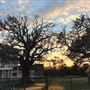 Morris Ranch, Texas