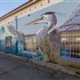 City of San Marcos Murals & Art