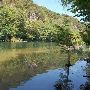 Red Bud Isle