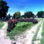 Sunken Garden Park