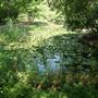 Clark Gardens Botanical Park