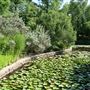 Clark Gardens Botanical Park