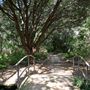 Clark Gardens Botanical Park
