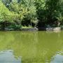 Clark Gardens Botanical Park