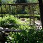 Clark Gardens Botanical Park