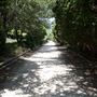 Clark Gardens Botanical Park