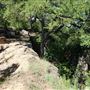Lake Mineral Wells State Park