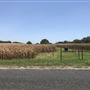 Gil Farmhouse & Cornfield