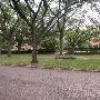 Broadacres Neighborhood - Between North and South Blvd