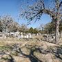 La Grange Cemetery