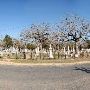 La Grange Cemetery
