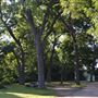 Clifton City Park