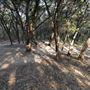 Walnut Creek Metropolitan Park