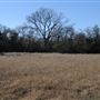 Rural Farm - Two House Property