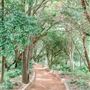Clark Gardens Botanical Park