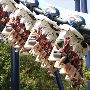 SeaWorld Adventure Park
