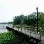Martin Dies, Jr. State Park
