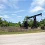 Sun Oil Road / Oil Derricks