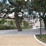 Waterloo Park