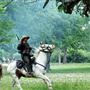 Confederate Reunion Grounds State Historic Site