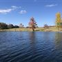Hidden Springs Ranch