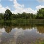 Lake Bastrop