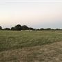 Snake Prairie