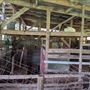 Rural Farm - Two House Property