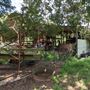 Rural Farm - Two House Property