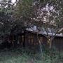 Rural Farm - Two House Property