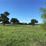Bucking Beauty Farm