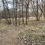 Bastrop County Nature Park
