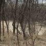 Bastrop County Nature Park