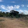 Rose Ranch