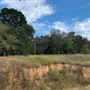 Rose Ranch