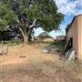 Rose Ranch