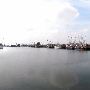 Port of Brownsville - Shrimping Boats